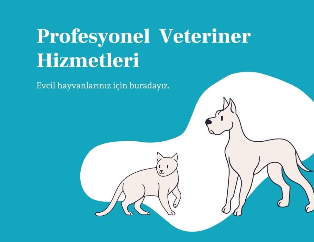 Gaziosmanpaşa Veteriner Polikliniği