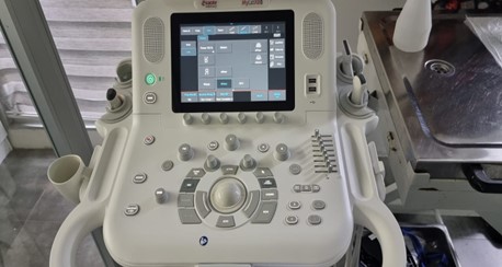 Kedi Ve Köpeklerde Ultrason